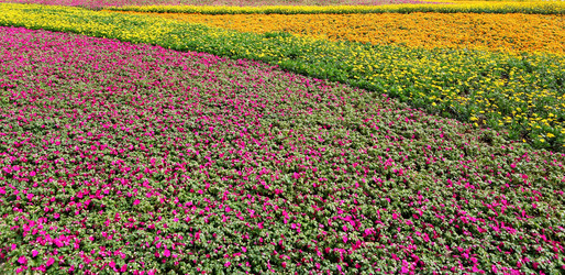 Similar image 6079410