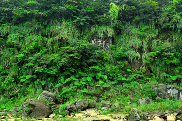 Similar image 6079414