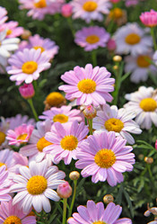 Similar image 6079433