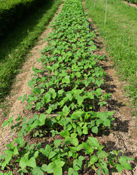 Similar image 6079675