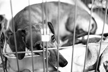 Similar image 6079680