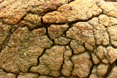 Similar image 6079681