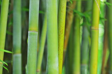 Similar image 6079692