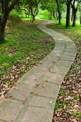 Similar image 6079716