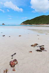 Similar image 6079932