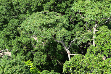 Similar image 6080005