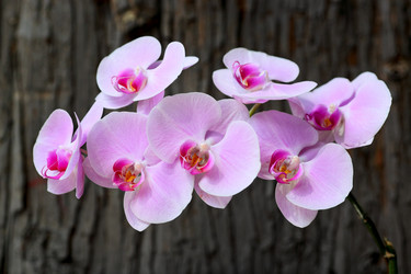 Similar image 6080034