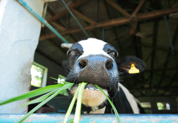 Similar image 6080037