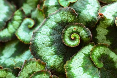 Similar image 6080041