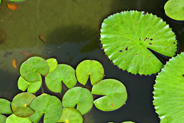 Similar image 6080046