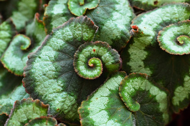 Similar image 6080055