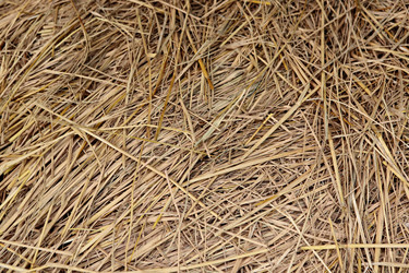 Similar image 6080075