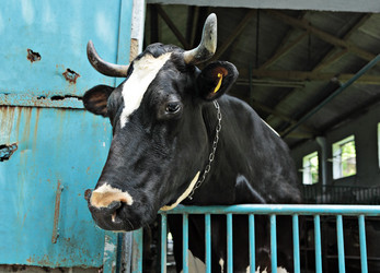 Similar image 6080077