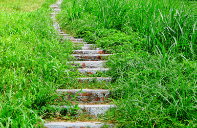 Similar image 6080082