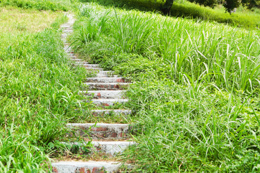 Similar image 6080086