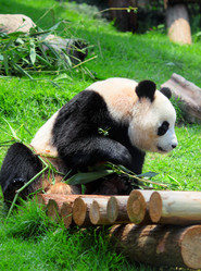 Similar image 6080120