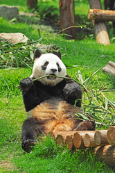 Similar image 6080160