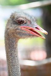 Similar image 6080176