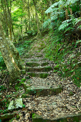 Similar image 6080201