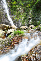 Similar image 6080208