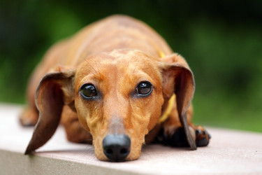 Similar image 6080273