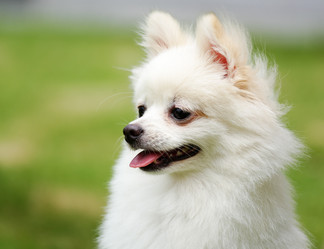 Similar image 6080311