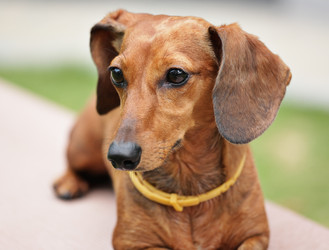 Similar image 6080318