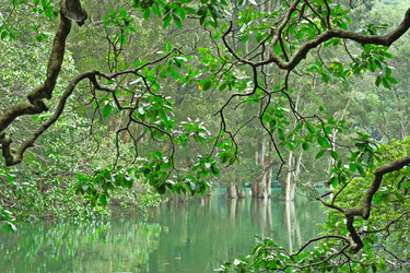 Similar image 6080577