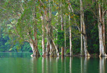 Similar image 6080581