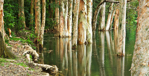 Similar image 6080587