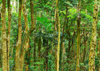 Similar image 6080599