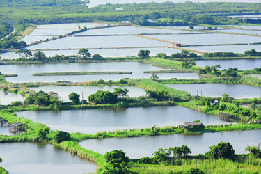 Similar image 6080761