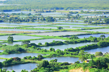 Similar image 6080773