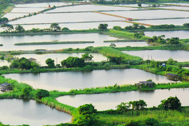 Similar image 6080799