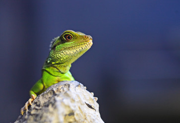 Similar image 6080910