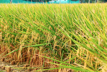 Similar image 6081103