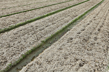 Similar image 6081122