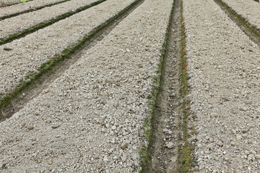 Similar image 6081131