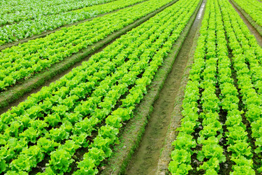 Similar image 6081138