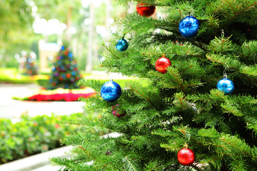 Similar image 6081241