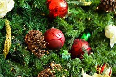 Similar image 6081270