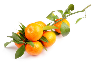 Similar image 6081299