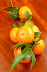 Similar image 6081316