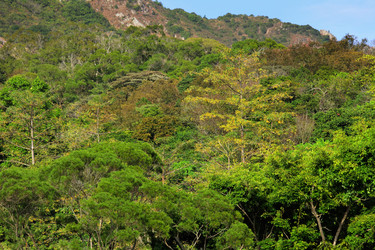 Similar image 6081369