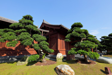 Similar image 6081382