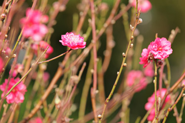 Similar image 6081400