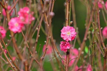 Similar image 6081407