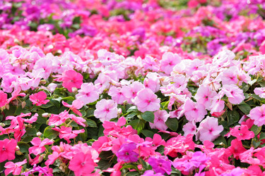 Similar image 6081411