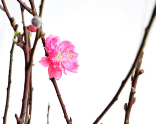 Similar image 6081428