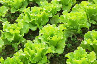 Similar image 6081467